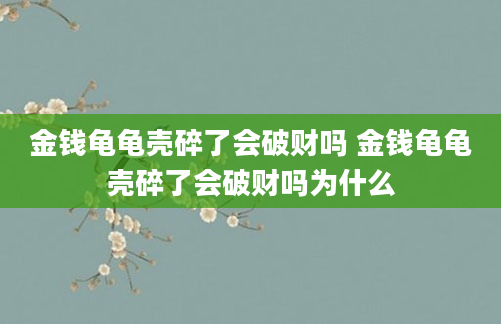 金钱龟龟壳碎了会破财吗 金钱龟龟壳碎了会破财吗为什么
