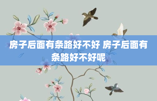 房子后面有条路好不好 房子后面有条路好不好呢