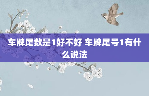 车牌尾数是1好不好 车牌尾号1有什么说法