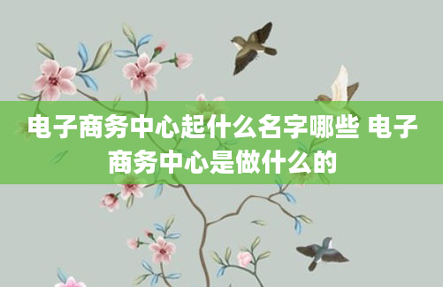电子商务中心起什么名字哪些 电子商务中心是做什么的