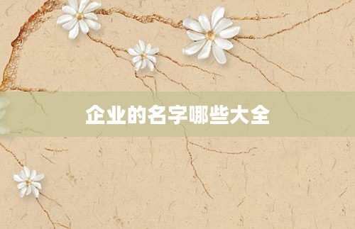 企业的名字哪些大全