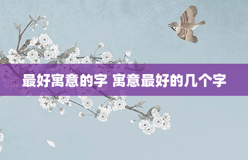 最好寓意的字 寓意最好的几个字