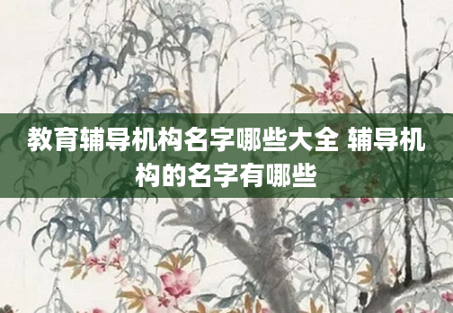 教育辅导机构名字哪些大全 辅导机构的名字有哪些