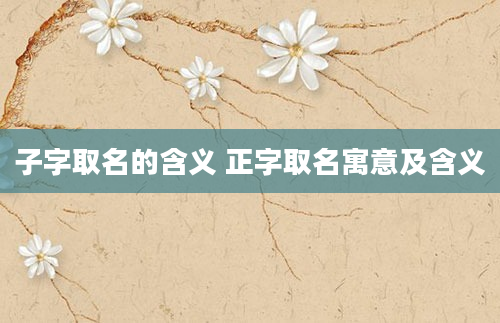 子字取名的含义 正字取名寓意及含义