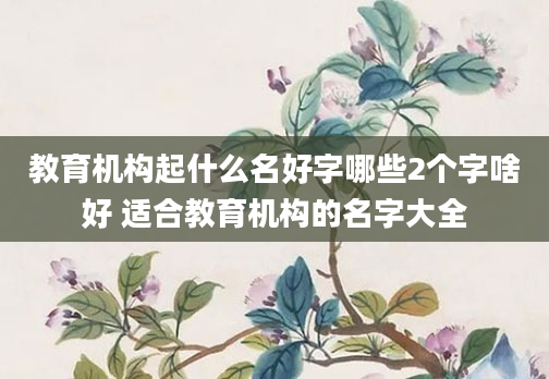 教育机构起什么名好字哪些2个字啥好 适合教育机构的名字大全