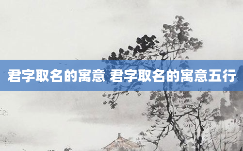 君字取名的寓意 君字取名的寓意五行