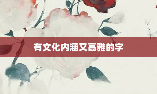有文化内涵又高雅的字