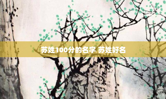 苏姓100分的名字 苏姓好名