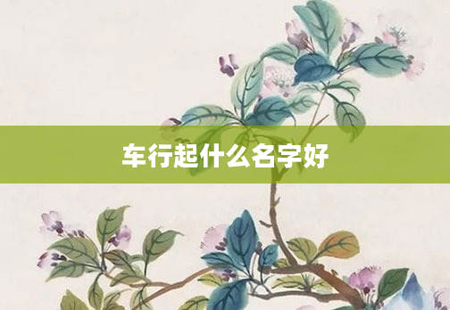 车行起什么名字好