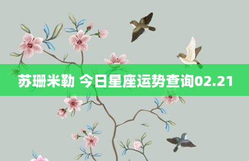 苏珊米勒 今日星座运势查询02.21