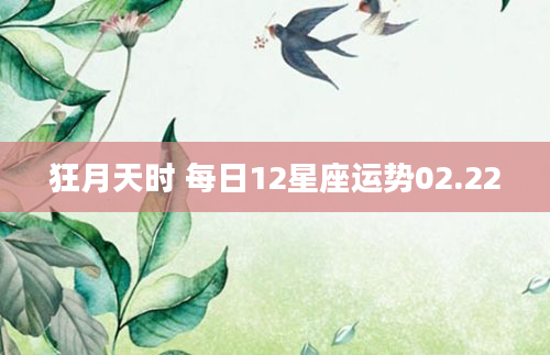 狂月天时 每日12星座运势02.22