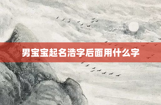 男宝宝起名浩字后面用什么字