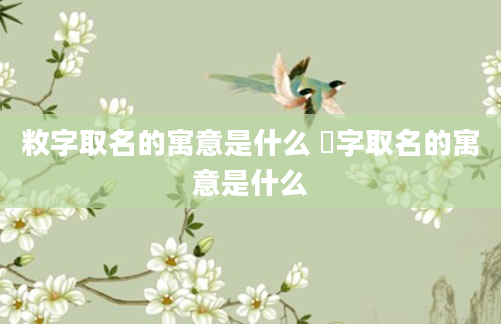 敉字取名的寓意是什么 玏字取名的寓意是什么