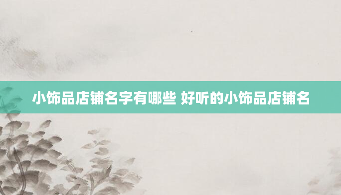 小饰品店铺名字有哪些 好听的小饰品店铺名