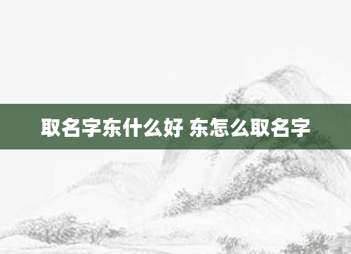 取名字东什么好 东怎么取名字