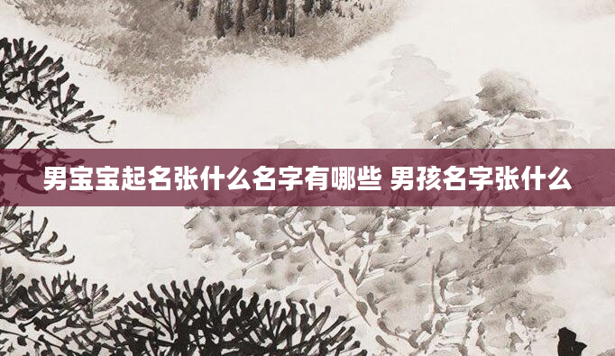 男宝宝起名张什么名字有哪些 男孩名字张什么