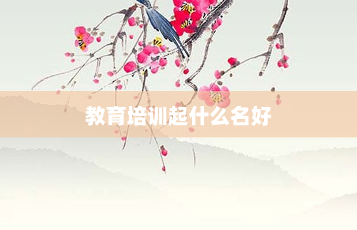 教育培训起什么名好