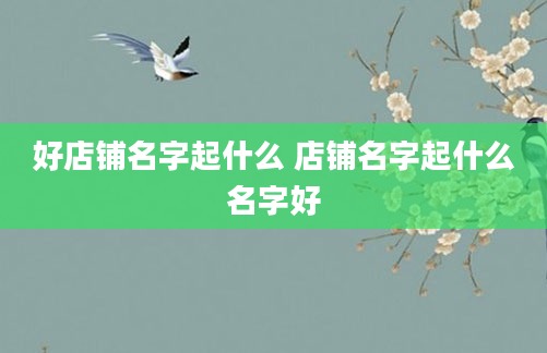 好店铺名字起什么 店铺名字起什么名字好