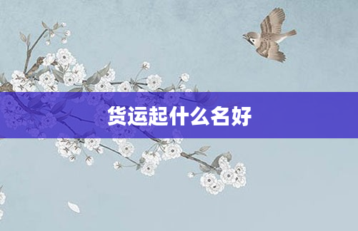 货运起什么名好