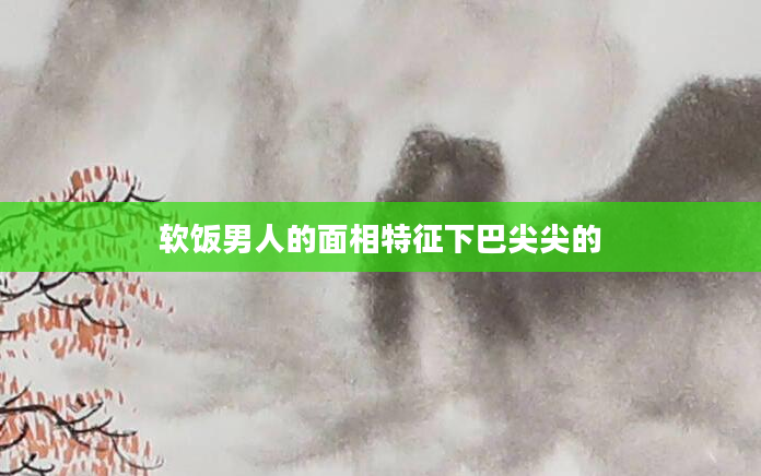软饭男人的面相特征下巴尖尖的