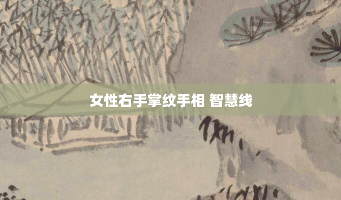 女性右手掌纹手相 智慧线