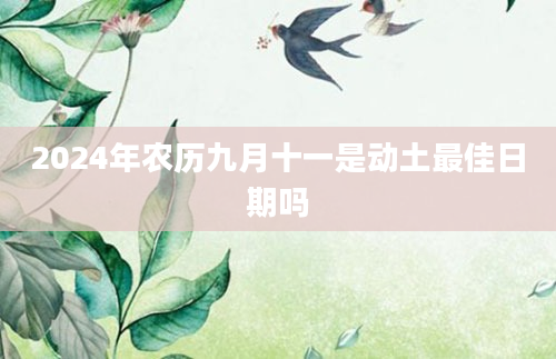 2024年农历九月十一是动土最佳日期吗