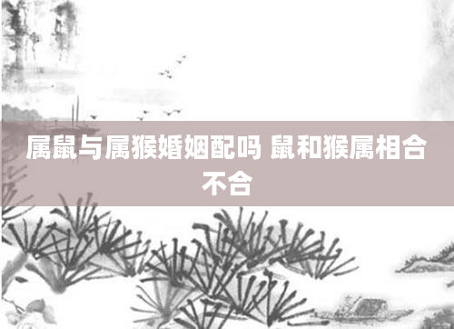 属鼠与属猴婚姻配吗 鼠和猴属相合不合