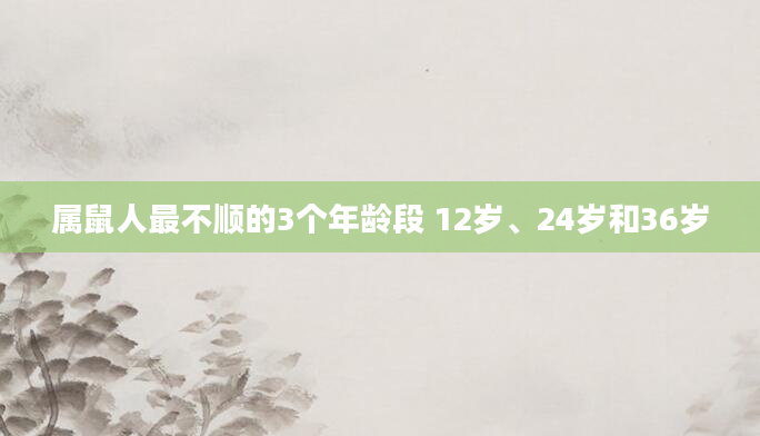 属鼠人最不顺的3个年龄段 12岁、24岁和36岁