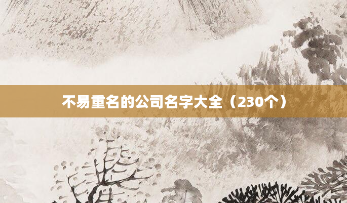 不易重名的公司名字大全（230个）