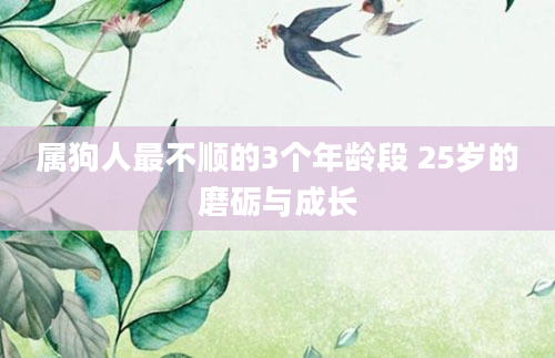 属狗人最不顺的3个年龄段 25岁的磨砺与成长
