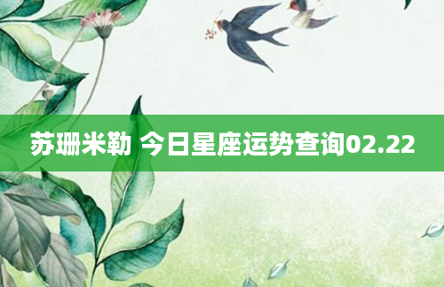 苏珊米勒 今日星座运势查询02.22
