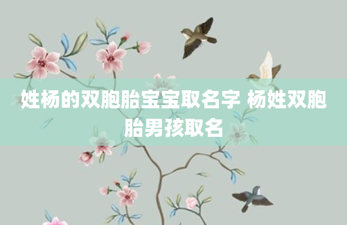 姓杨的双胞胎宝宝取名字 杨姓双胞胎男孩取名