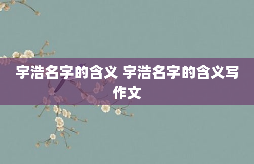 宇浩名字的含义 宇浩名字的含义写作文