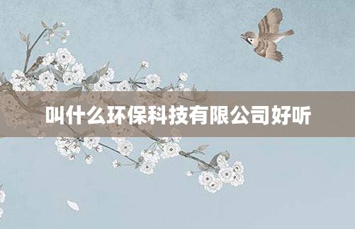叫什么环保科技有限公司好听