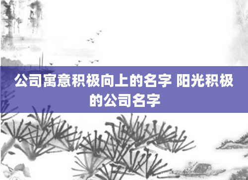 公司寓意积极向上的名字 阳光积极的公司名字