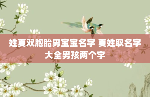 姓夏双胞胎男宝宝名字 夏姓取名字大全男孩两个字