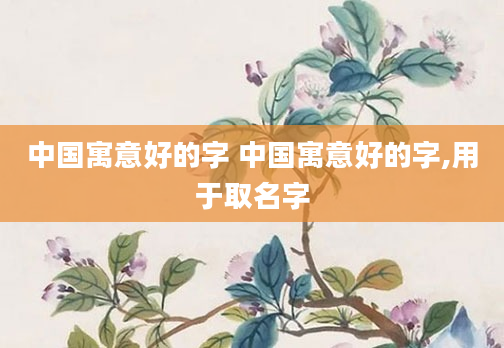 中国寓意好的字 中国寓意好的字,用于取名字