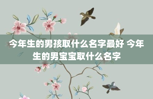 今年生的男孩取什么名字最好 今年生的男宝宝取什么名字