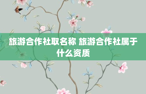 旅游合作社取名称 旅游合作社属于什么资质