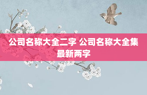 公司名称大全二字 公司名称大全集最新两字