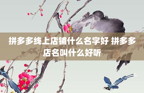 拼多多线上店铺什么名字好 拼多多店名叫什么好听