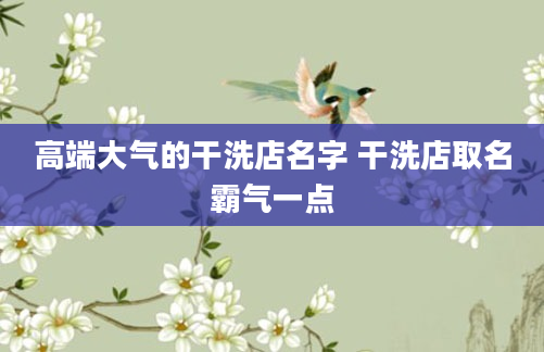 高端大气的干洗店名字 干洗店取名霸气一点