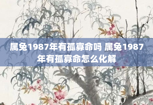属兔1987年有孤寡命吗 属兔1987年有孤寡命怎么化解