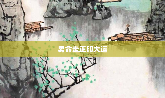 男命走正印大运