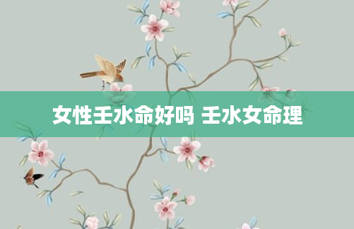 女性壬水命好吗 壬水女命理