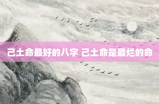 己土命最好的八字 己土命是最烂的命