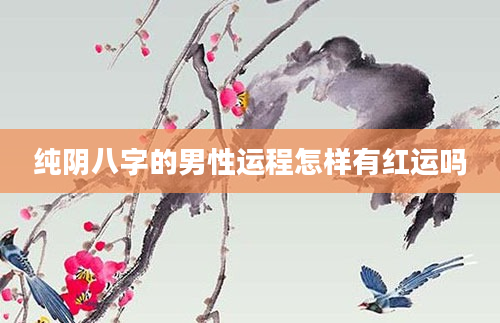 纯阴八字的男性运程怎样有红运吗