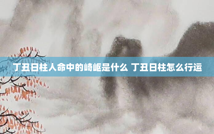 丁丑日柱人命中的崎岖是什么 丁丑日柱怎么行运