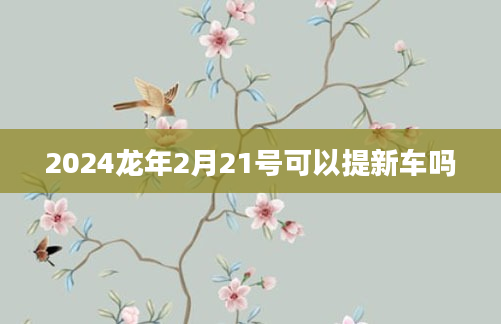 2024龙年2月21号可以提新车吗