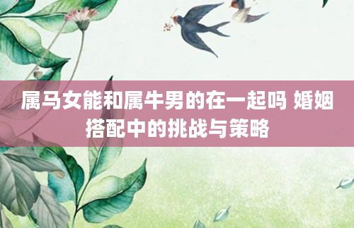 属马女能和属牛男的在一起吗 婚姻搭配中的挑战与策略